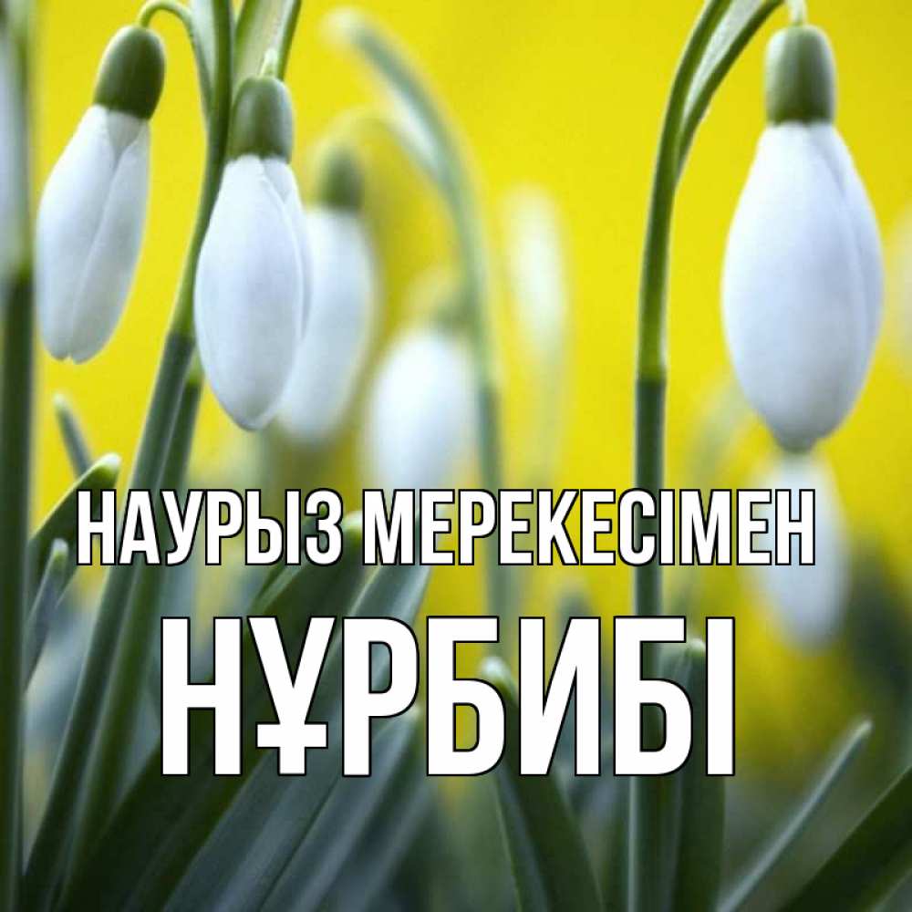 Күн сайын ашық хат с именем, НҰРБИБІ Наурыз мерекесімен весенние цветы Онлайн тегін жүктеп алу тілектері бар керемет карта 