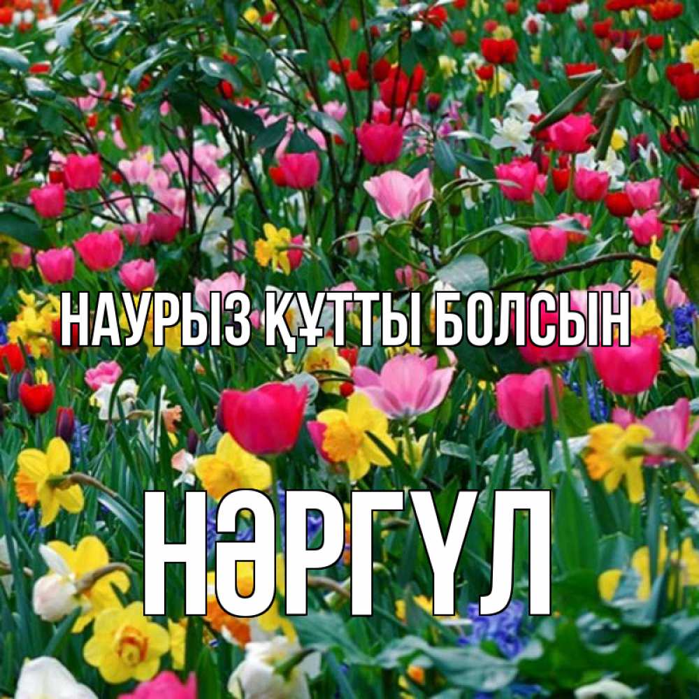 Күн сайын ашық хат с именем, НӘРГҮЛ Наурыз құтты болсын с наурызом поздравления для женщины Онлайн тегін жүктеп алу тілектері бар керемет карта 