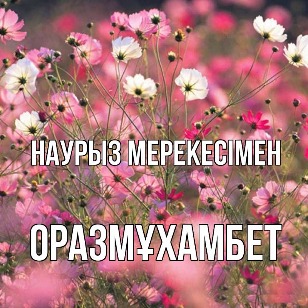 Күн сайын ашық хат с именем, ОРАЗМҰХАМБЕТ Наурыз мерекесімен красиво 1 Онлайн тегін жүктеп алу тілектері бар керемет карта 
