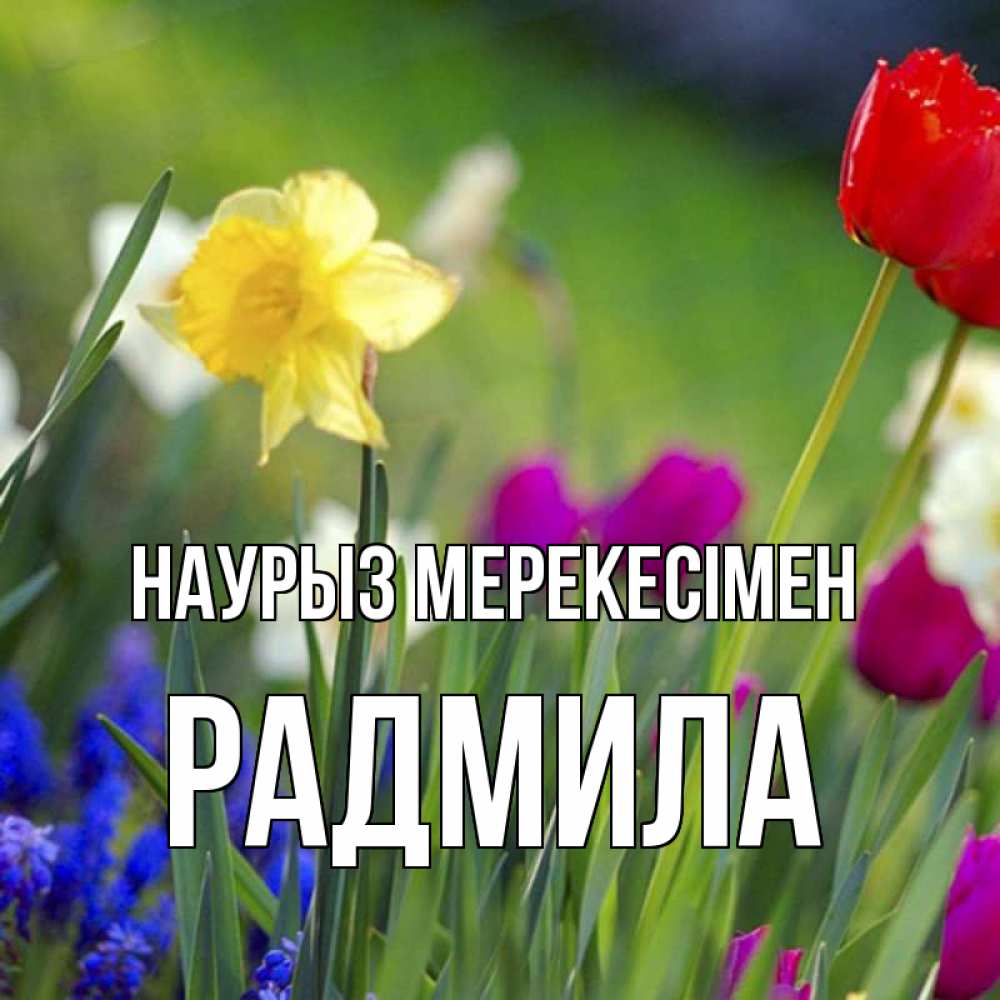 Күн сайын ашық хат с именем, Радмила Наурыз мерекесімен праздник весны наурыз 3 Онлайн тегін жүктеп алу тілектері бар керемет карта 
