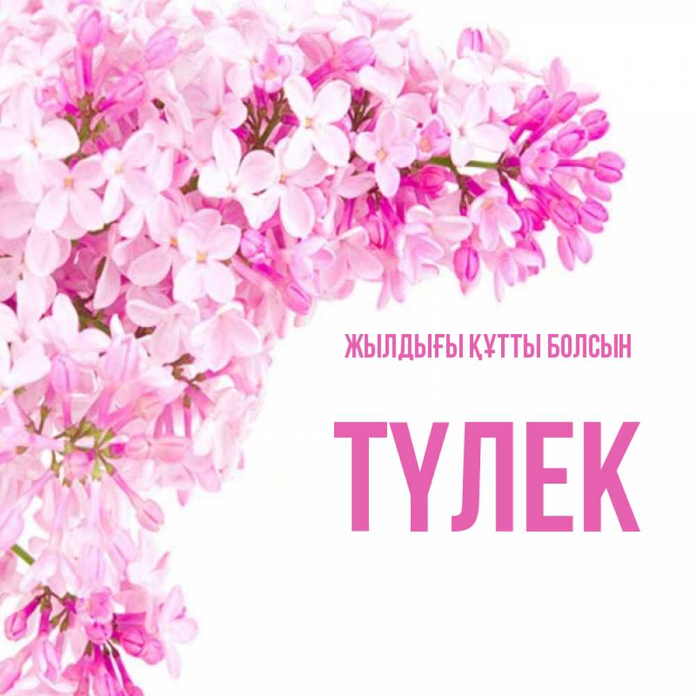 Күн сайын ашық хат с именем, ТҮЛЕК Жылдығы құтты болсын Сирень на белом фоне Онлайн тегін жүктеп алу тілектері бар керемет карта 