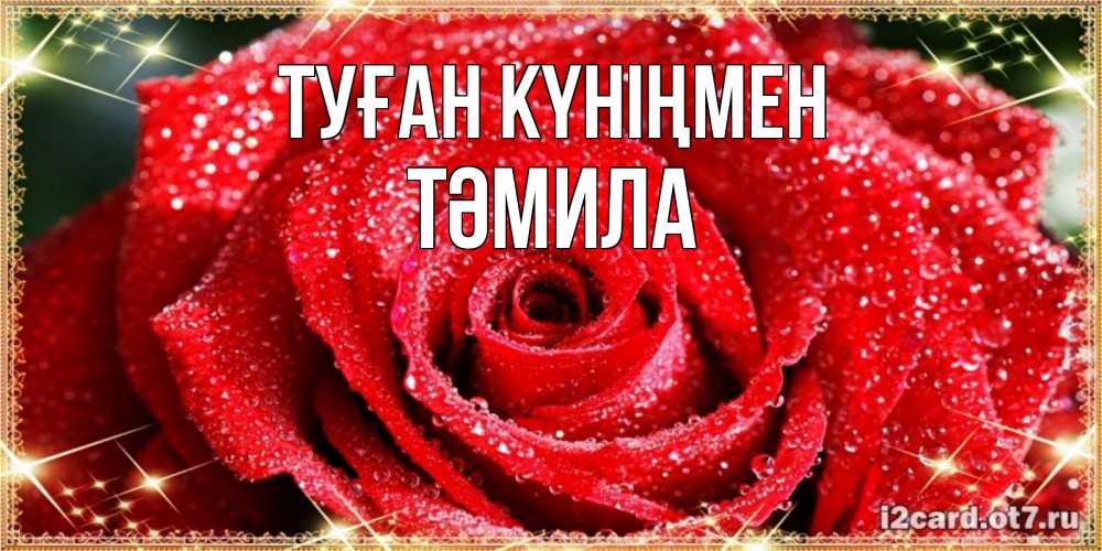 Күн сайын ашық хат с именем, ТӘМИЛА Туған күніңмен роса и роза. открытка с красивой розой Онлайн тегін жүктеп алу тілектері бар керемет карта 