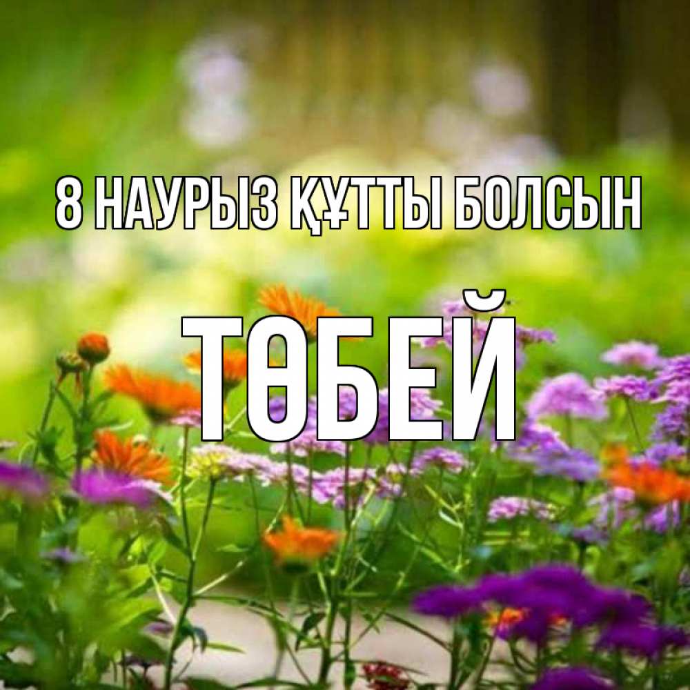 Күн сайын ашық хат с именем, ТӨБЕЙ 8 наурыз құтты болсын цветы Онлайн тегін жүктеп алу тілектері бар керемет карта 