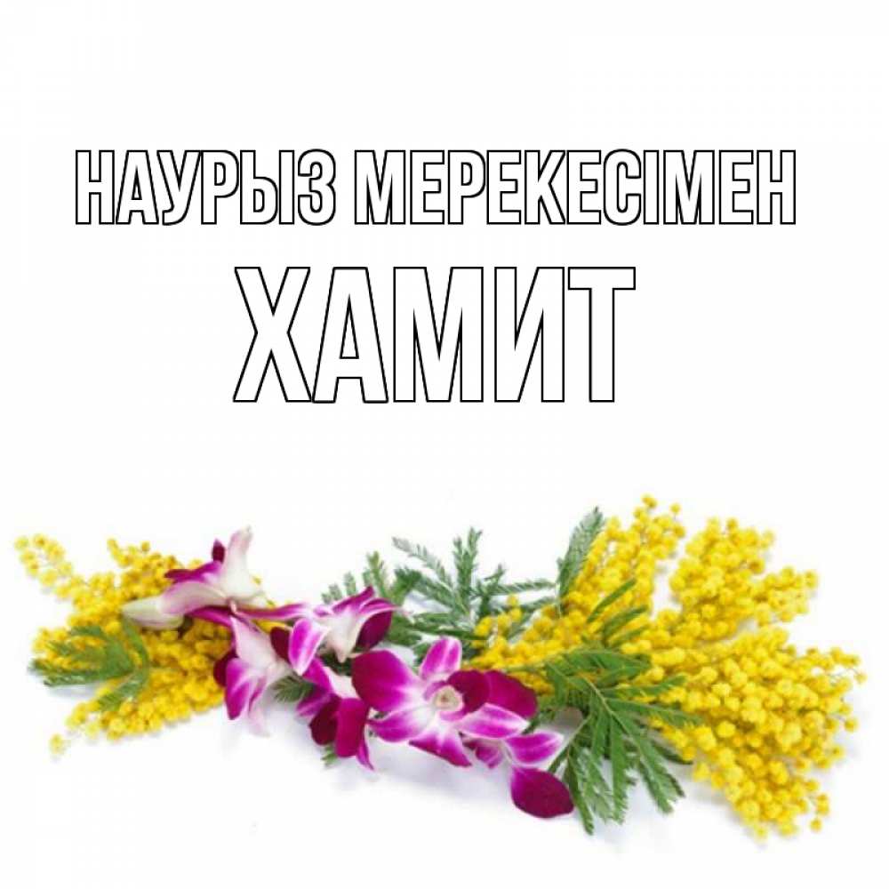 Күн сайын ашық хат с именем, ХАМИТ Наурыз мерекесімен открытка на международный женский день с цветами  1 Онлайн тегін жүктеп алу тілектері бар керемет карта 