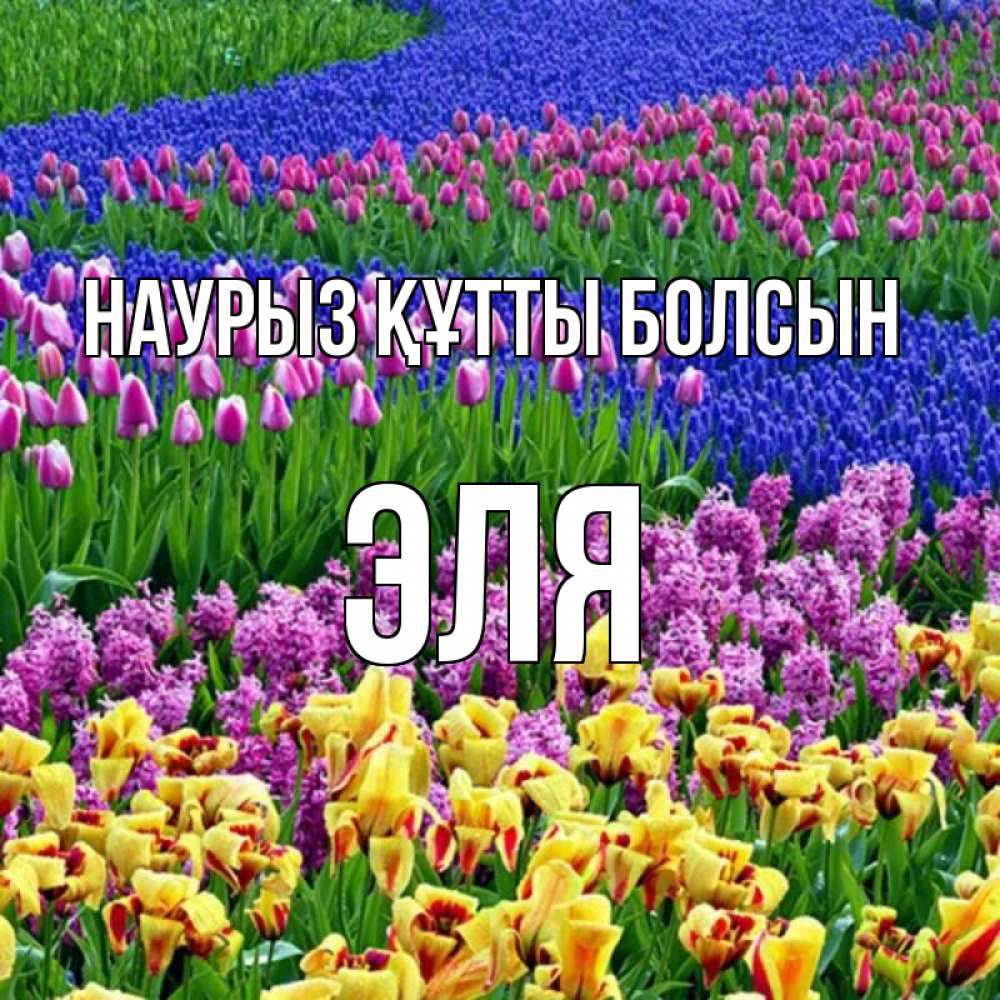 Күн сайын ашық хат с именем, Эля Наурыз құтты болсын цветы Онлайн тегін жүктеп алу тілектері бар керемет карта 