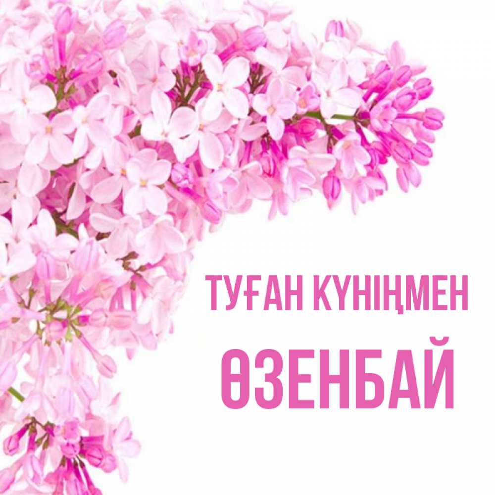 Күн сайын ашық хат с именем, ӨЗЕНБАЙ Туған күніңмен Сирень на белом фоне Онлайн тегін жүктеп алу тілектері бар керемет карта 