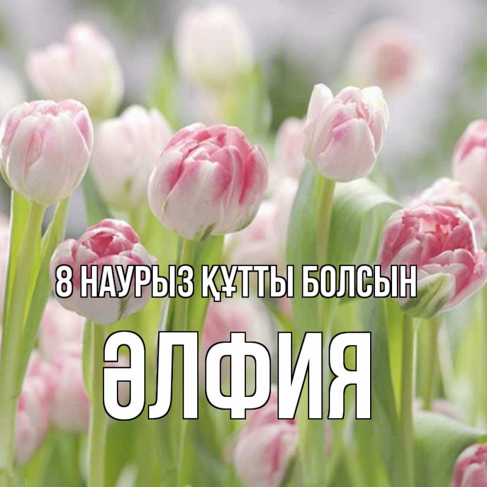 Күн сайын ашық хат с именем, ӘЛФИЯ 8 наурыз құтты болсын цветы Онлайн тегін жүктеп алу тілектері бар керемет карта 