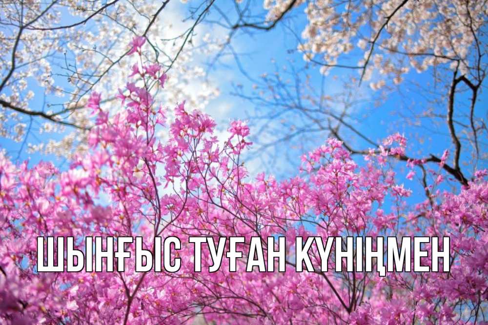 Картинка  с именем , ШЫНҒЫС! ТУҒАН КҮНІҢМЕН!