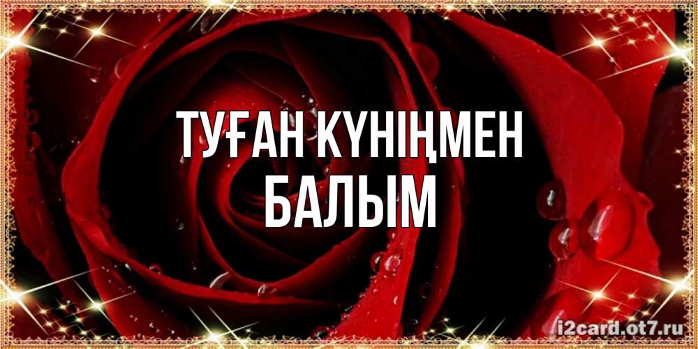 Күн сайын ашық хат с именем, БАЛЫМ Туған күніңмен цветок в росе на день рождения Онлайн тегін жүктеп алу тілектері бар керемет карта 