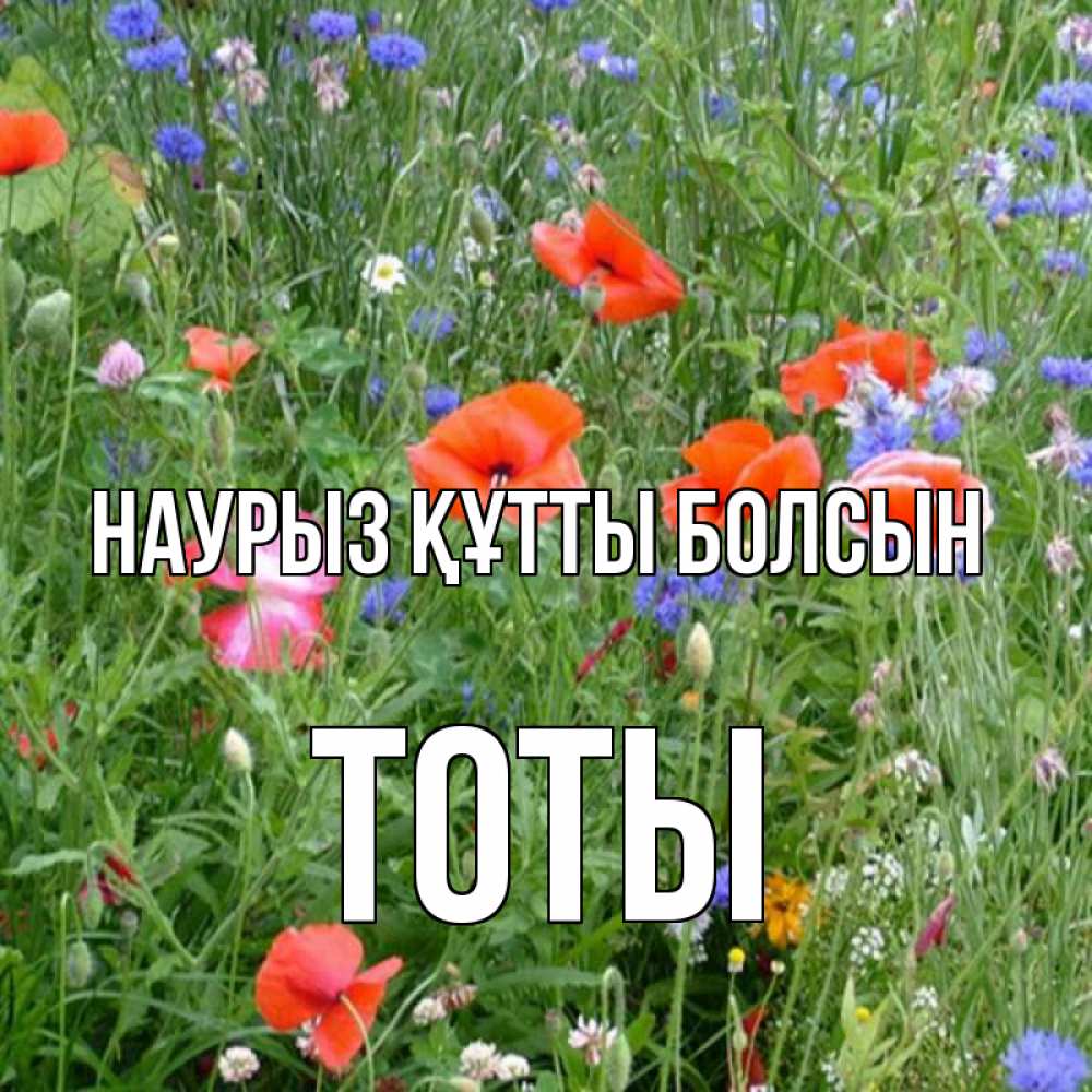 Күн сайын ашық хат с именем, ТОТЫ Наурыз құтты болсын наурыз  4 Онлайн тегін жүктеп алу тілектері бар керемет карта 