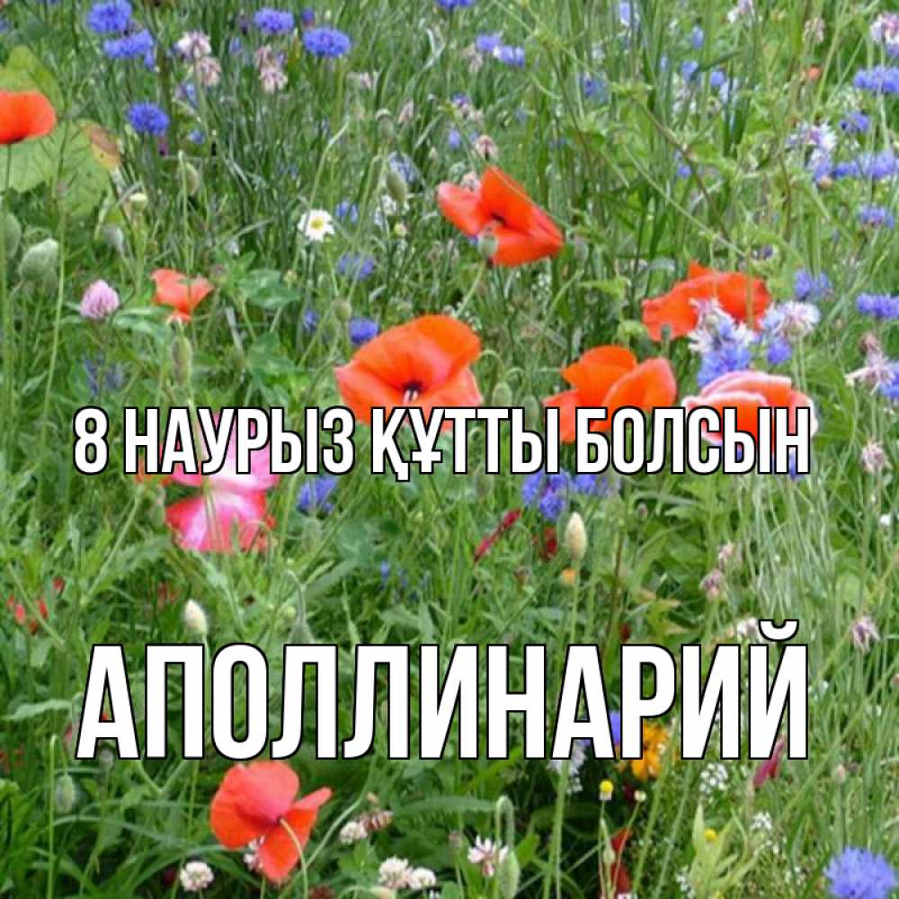 Күн сайын ашық хат с именем, Аполлинарий 8 наурыз құтты болсын международный женский день 4 Онлайн тегін жүктеп алу тілектері бар керемет карта 
