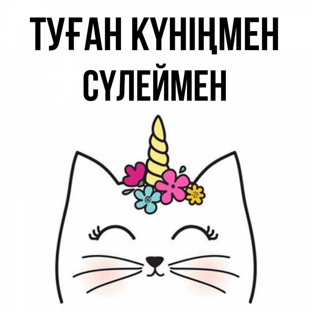 Күн сайын ашық хат с именем, СҮЛЕЙМЕН Туған күніңмен милый кот с одним рожком Онлайн тегін жүктеп алу тілектері бар керемет карта 