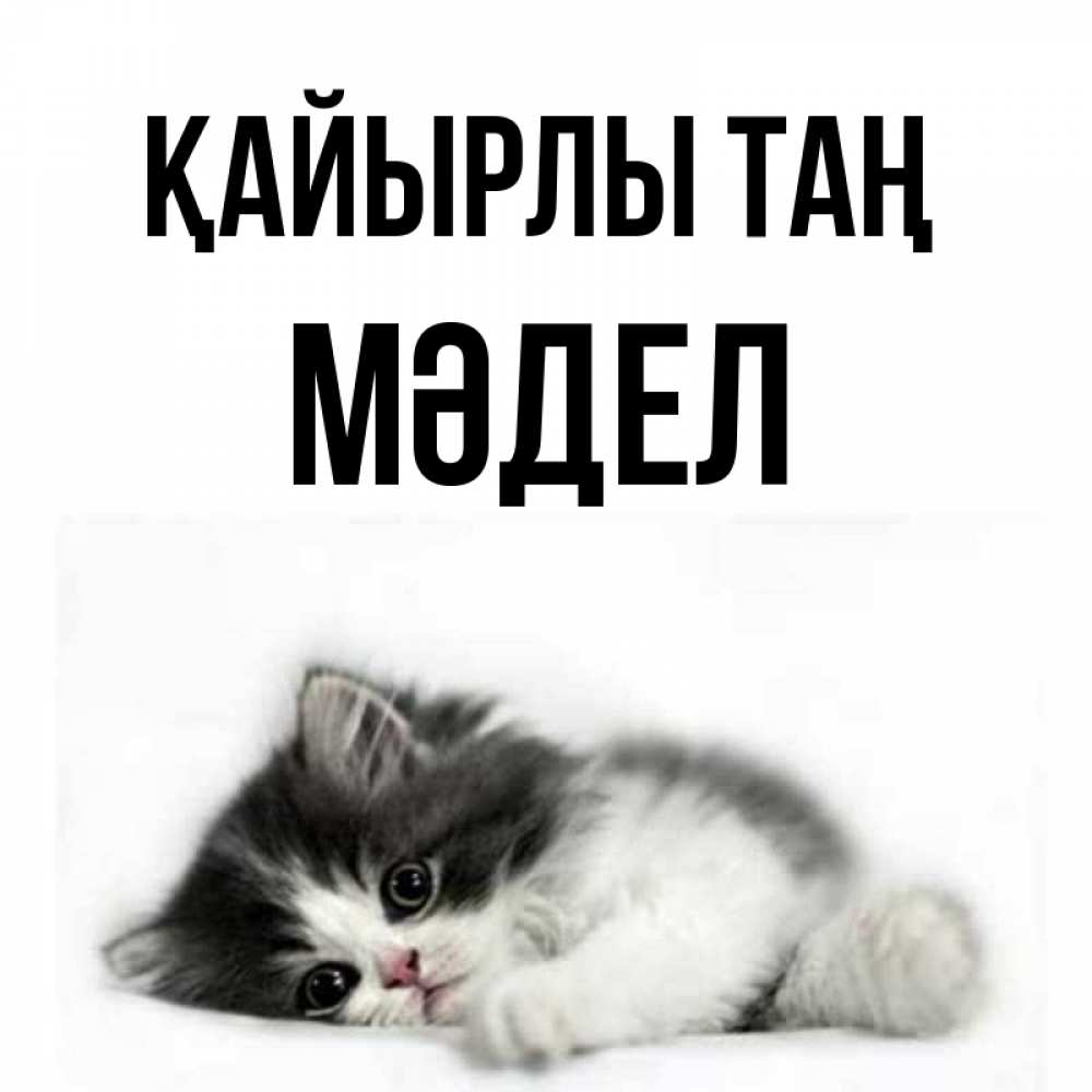 Күн сайын ашық хат с именем, МӘДЕЛ Қайырлы таң кот лапки Онлайн тегін жүктеп алу тілектері бар керемет карта 