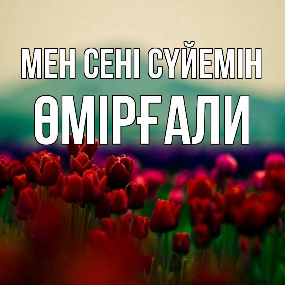 Күн сайын ашық хат с именем, ӨМІРҒАЛИ Мен сені сүйемін тюльпаны 4 Онлайн тегін жүктеп алу тілектері бар керемет карта 