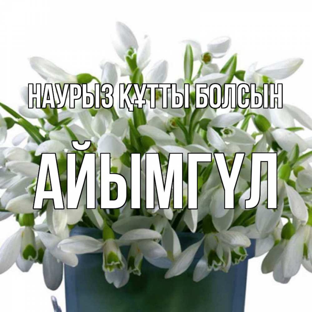 Күн сайын ашық хат с именем, АЙЫМГҮЛ Наурыз құтты болсын цветы к наурызу Онлайн тегін жүктеп алу тілектері бар керемет карта 