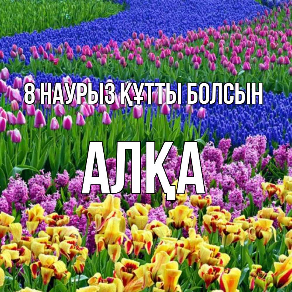 Күн сайын ашық хат с именем, Алқа 8 наурыз құтты болсын цветы Онлайн тегін жүктеп алу тілектері бар керемет карта 