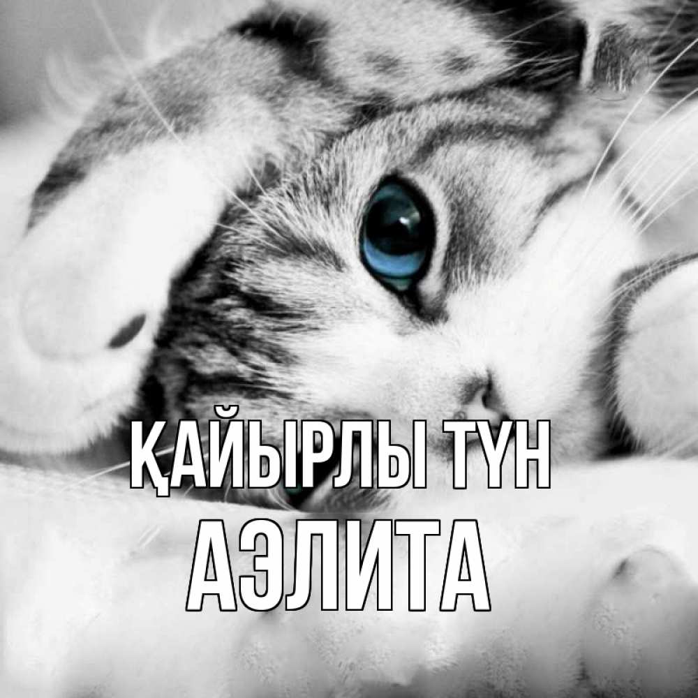 Күн сайын ашық хат с именем, Аэлита Қайырлы түн кот устал Онлайн тегін жүктеп алу тілектері бар керемет карта 