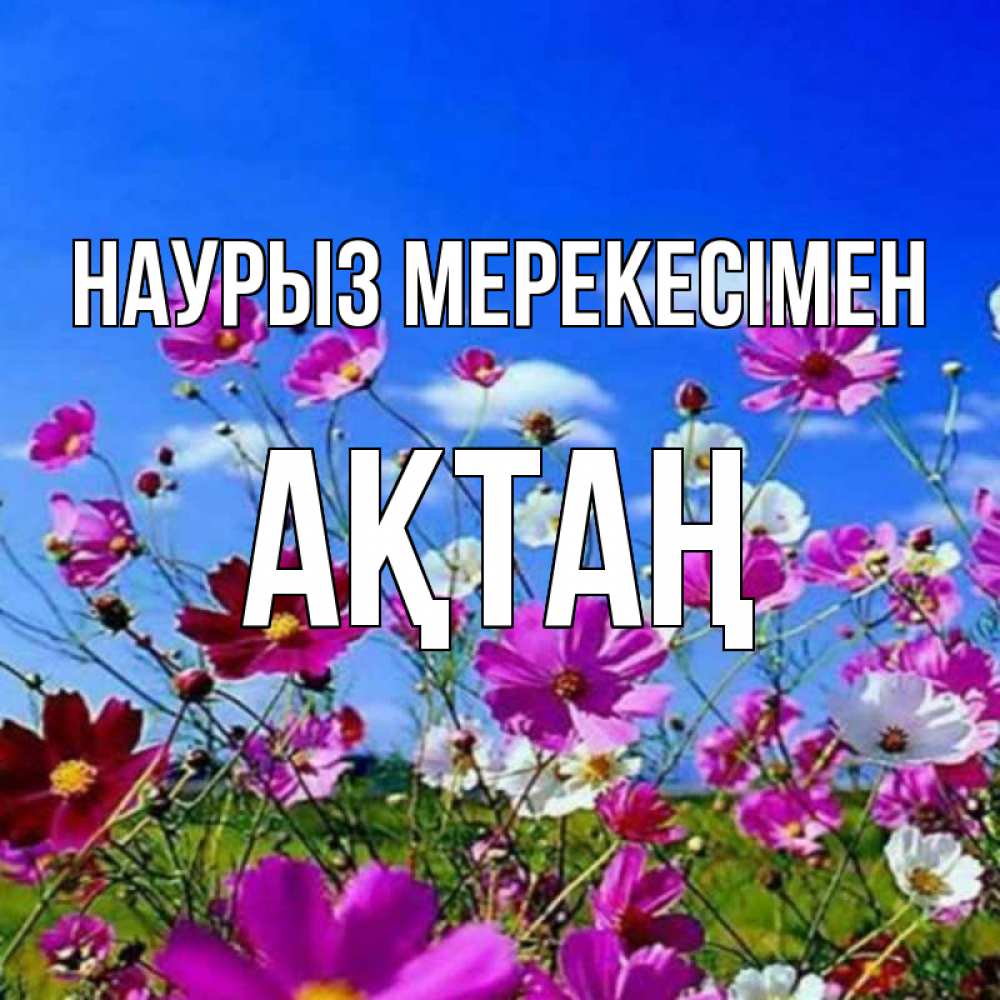Күн сайын ашық хат с именем, Ақтаң Наурыз мерекесімен цветы Онлайн тегін жүктеп алу тілектері бар керемет карта 