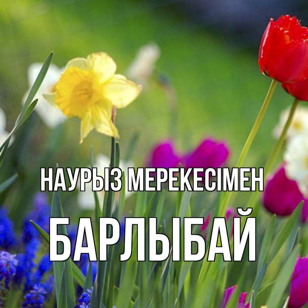 Күн сайын ашық хат с именем, Барлыбай Наурыз мерекесімен праздник весны наурыз 3 Онлайн тегін жүктеп алу тілектері бар керемет карта 