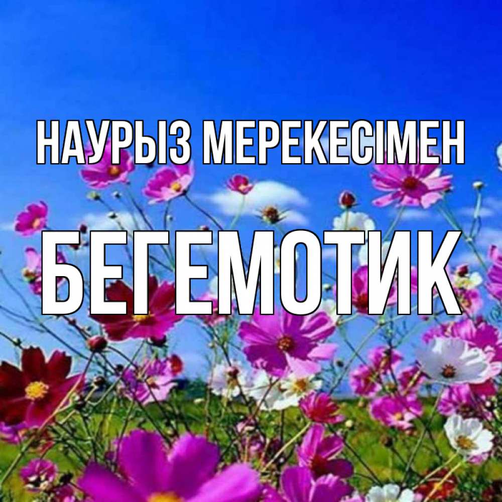 Күн сайын ашық хат с именем, Бегемотик Наурыз мерекесімен цветы Онлайн тегін жүктеп алу тілектері бар керемет карта 