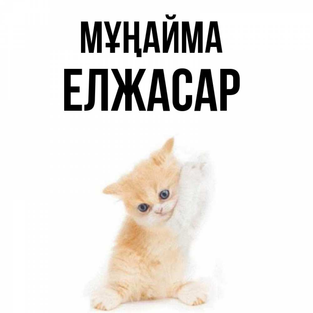 Күн сайын ашық хат с именем, Елжасар Мұңайма просящий кот Онлайн тегін жүктеп алу тілектері бар керемет карта 