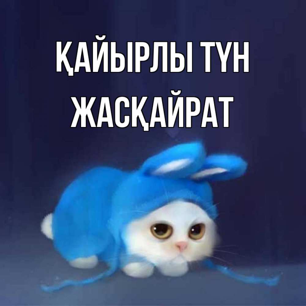Күн сайын ашық хат с именем, Жасқайрат Қайырлы түн кот в голубом костюме кролика с ушками Онлайн тегін жүктеп алу тілектері бар керемет карта 