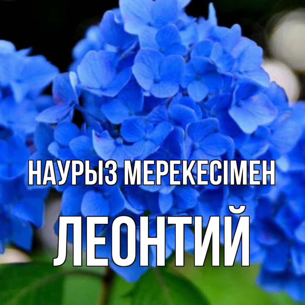Күн сайын ашық хат с именем, Леонтий Наурыз мерекесімен синие цветы Онлайн тегін жүктеп алу тілектері бар керемет карта 