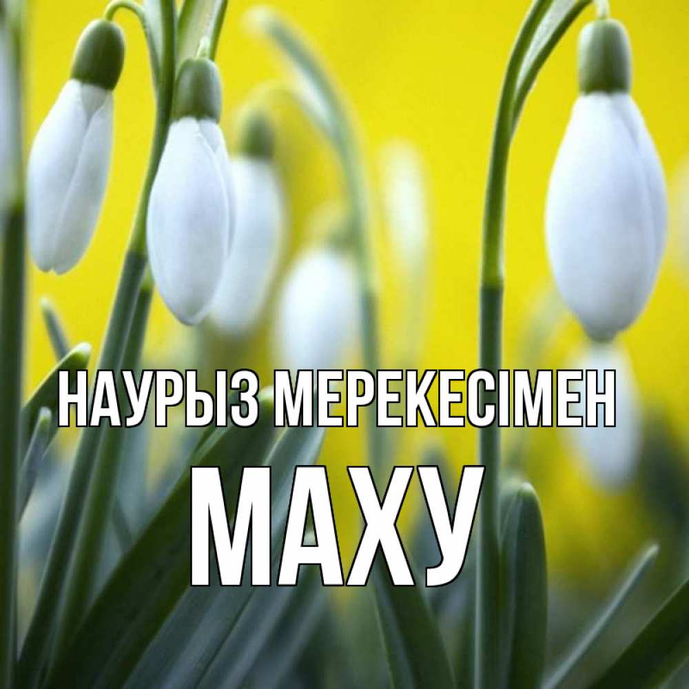 Күн сайын ашық хат с именем, МАХУ Наурыз мерекесімен весенние цветы Онлайн тегін жүктеп алу тілектері бар керемет карта 