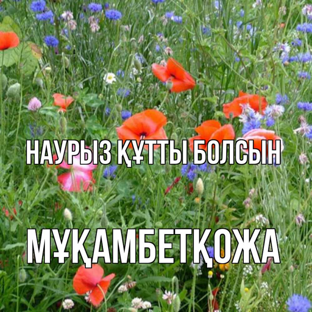 Күн сайын ашық хат с именем, Мұқамбетқожа Наурыз құтты болсын наурыз  4 Онлайн тегін жүктеп алу тілектері бар керемет карта 