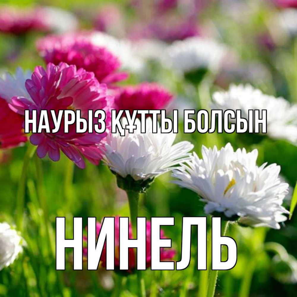Күн сайын ашық хат с именем, Нинель Наурыз құтты болсын наурыз Онлайн тегін жүктеп алу тілектері бар керемет карта 