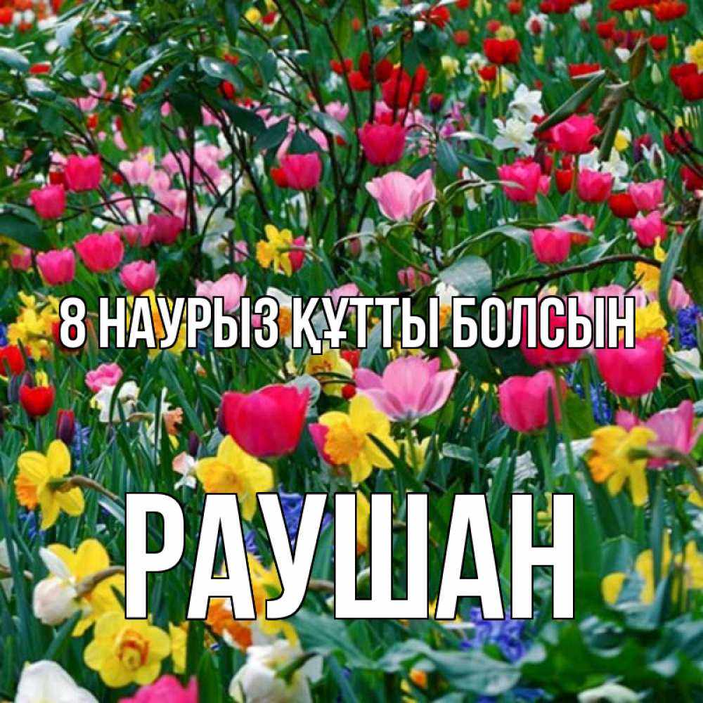 Күн сайын ашық хат с именем, РАУШАН 8 наурыз құтты болсын с международным женским днем поздравления для женщины Онлайн тегін жүктеп алу тілектері бар керемет карта 