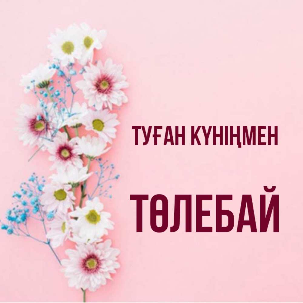 Күн сайын ашық хат с именем, ТӨЛЕБАЙ Туған күніңмен Родная моя с днем рождения тебя картинка с цветами белыми и голубыми Онлайн тегін жүктеп алу тілектері бар керемет карта 