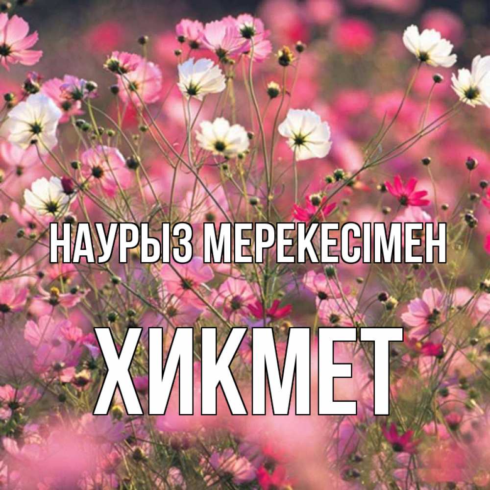 Күн сайын ашық хат с именем, ХИКМЕТ Наурыз мерекесімен красиво 1 Онлайн тегін жүктеп алу тілектері бар керемет карта 