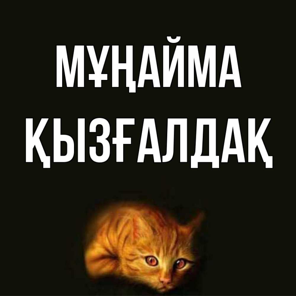 Күн сайын ашық хат с именем, ҚЫЗҒАЛДАҚ Мұңайма лежащий кот в темноте Онлайн тегін жүктеп алу тілектері бар керемет карта 