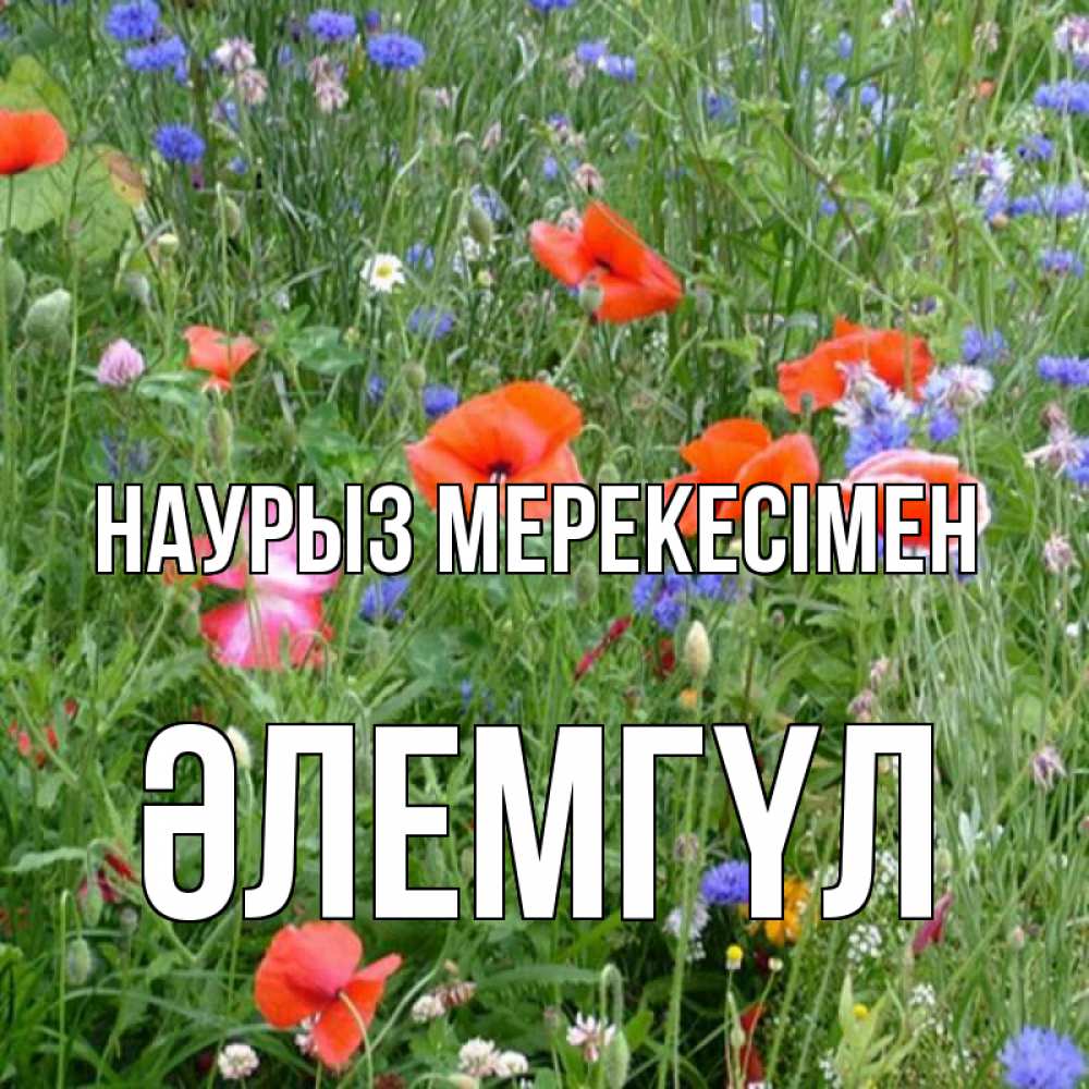 Күн сайын ашық хат с именем, ӘЛЕМГҮЛ Наурыз мерекесімен праздник весны наурыз супер открытка Онлайн тегін жүктеп алу тілектері бар керемет карта 