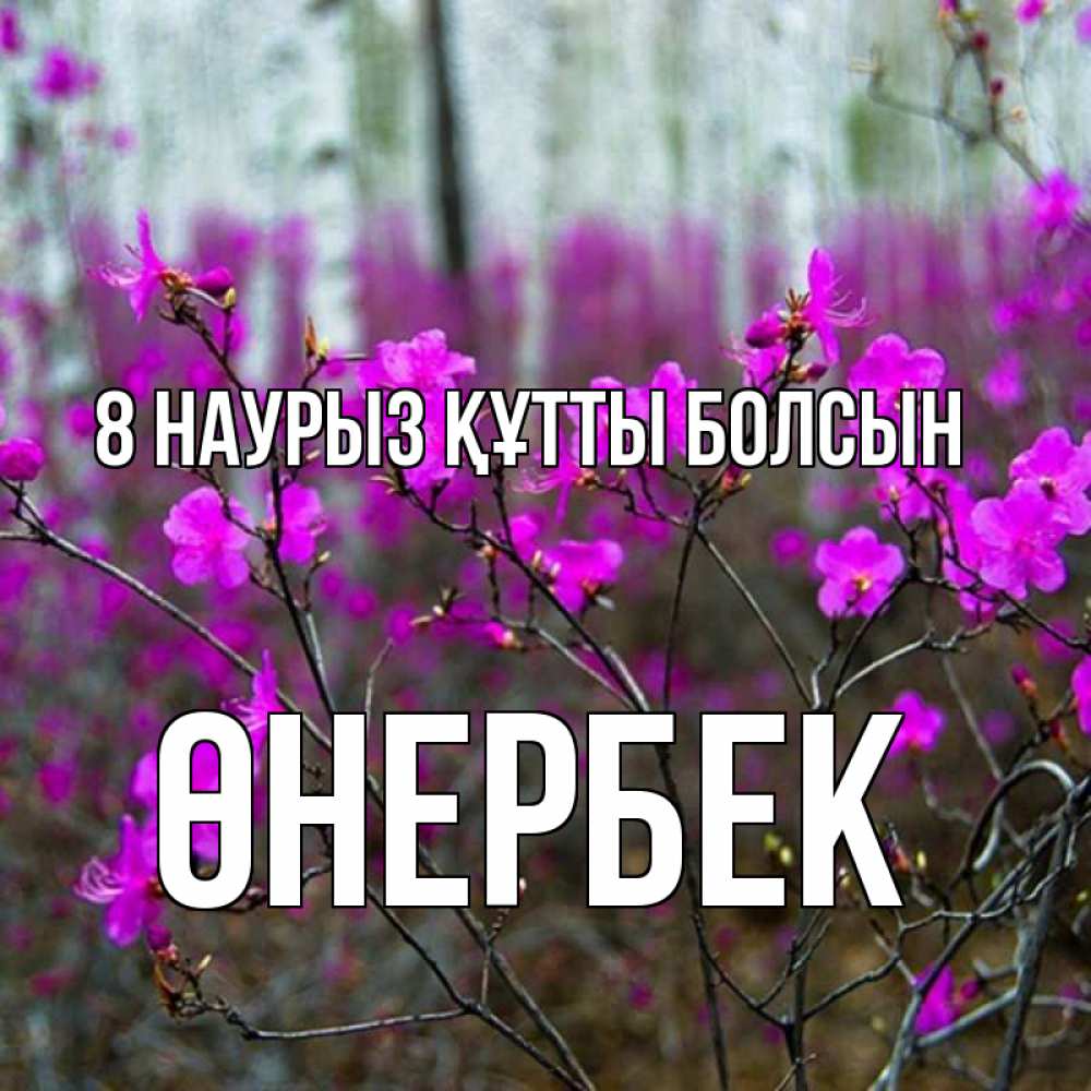 Күн сайын ашық хат с именем, ӨНЕРБЕК 8 наурыз құтты болсын дикие цветы Онлайн тегін жүктеп алу тілектері бар керемет карта 