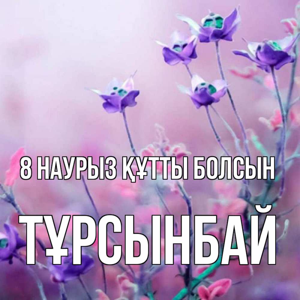 Күн сайын ашық хат с именем, ТҰРСЫНБАЙ 8 наурыз құтты болсын международный женский день 2 Онлайн тегін жүктеп алу тілектері бар керемет карта 