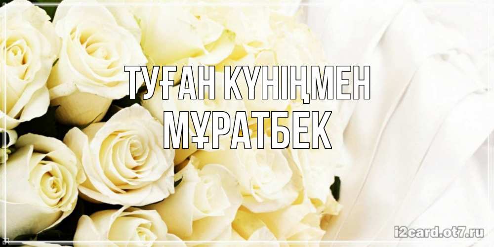 Күн сайын ашық хат с именем, Мұратбек Туған күніңмен белые розы в букете Онлайн тегін жүктеп алу тілектері бар керемет карта 