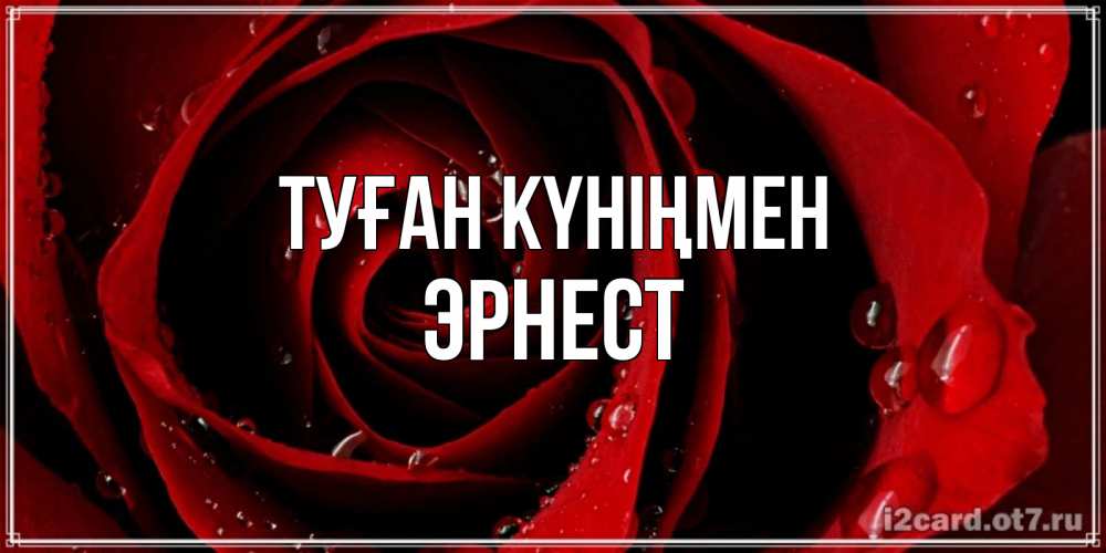 Күн сайын ашық хат с именем, Эрнест Туған күніңмен крупная бордовая роза Онлайн тегін жүктеп алу тілектері бар керемет карта 