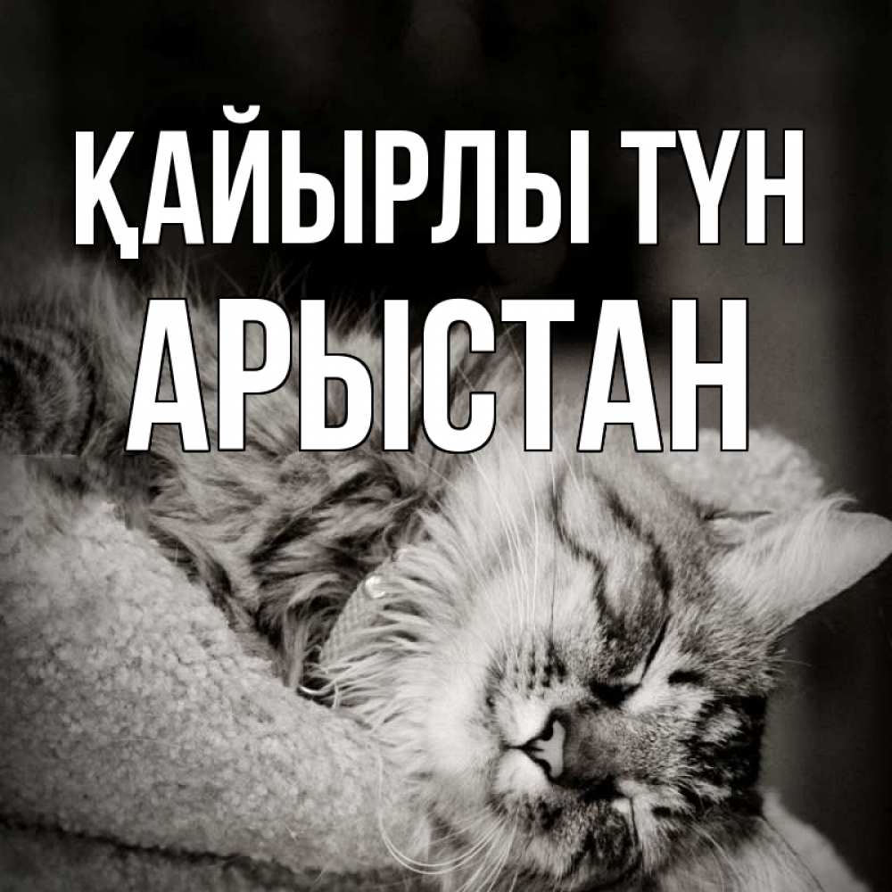 Күн сайын ашық хат с именем, Арыстан Қайырлы түн котярик пушистый Онлайн тегін жүктеп алу тілектері бар керемет карта 