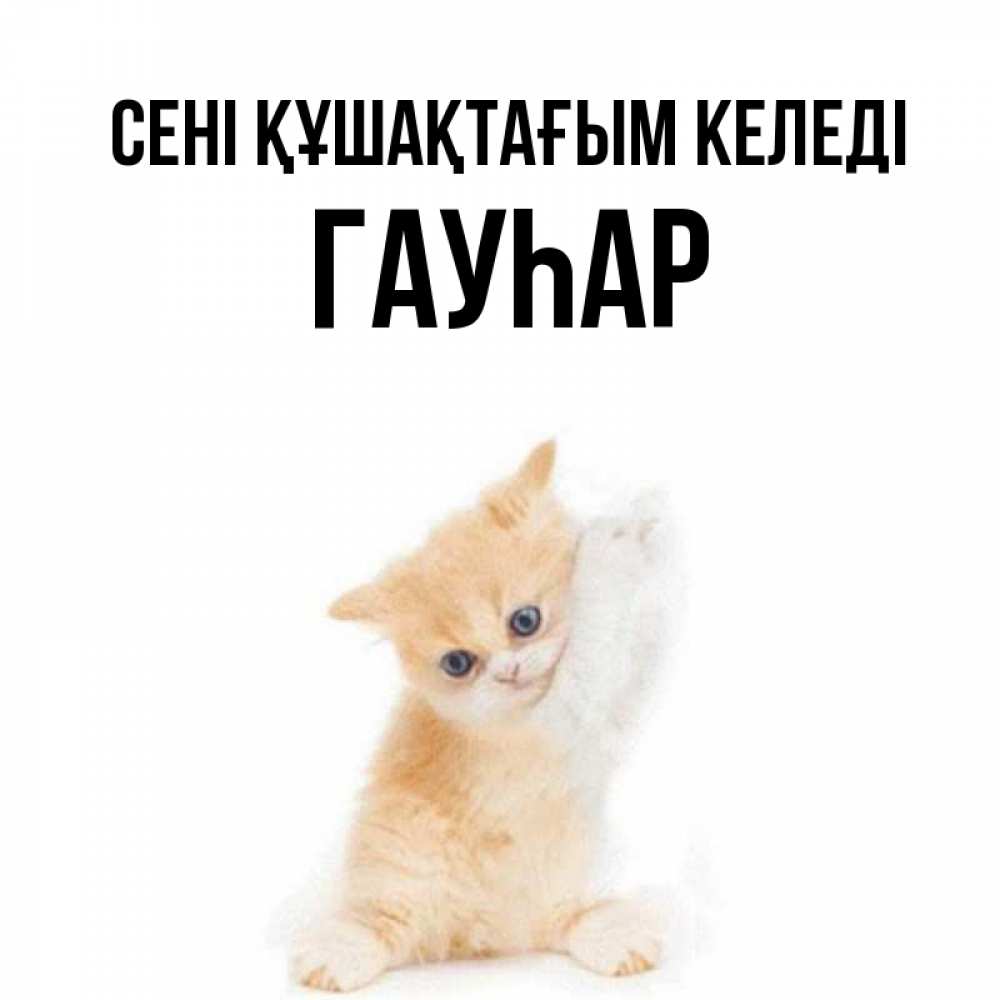 Күн сайын ашық хат с именем, Гауһар сені құшақтағым келеді я хочу очень скорее обнимаешек Онлайн тегін жүктеп алу тілектері бар керемет карта 