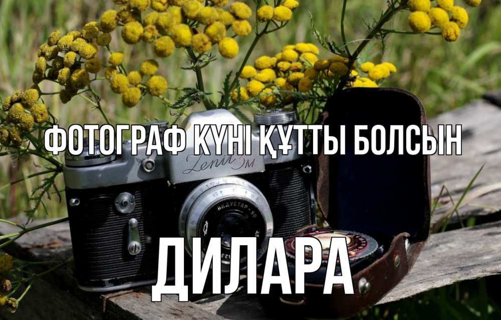 Күн сайын ашық хат с именем, Дилара Фотограф күні құтты болсын с днем фотографа Онлайн тегін жүктеп алу тілектері бар керемет карта 
