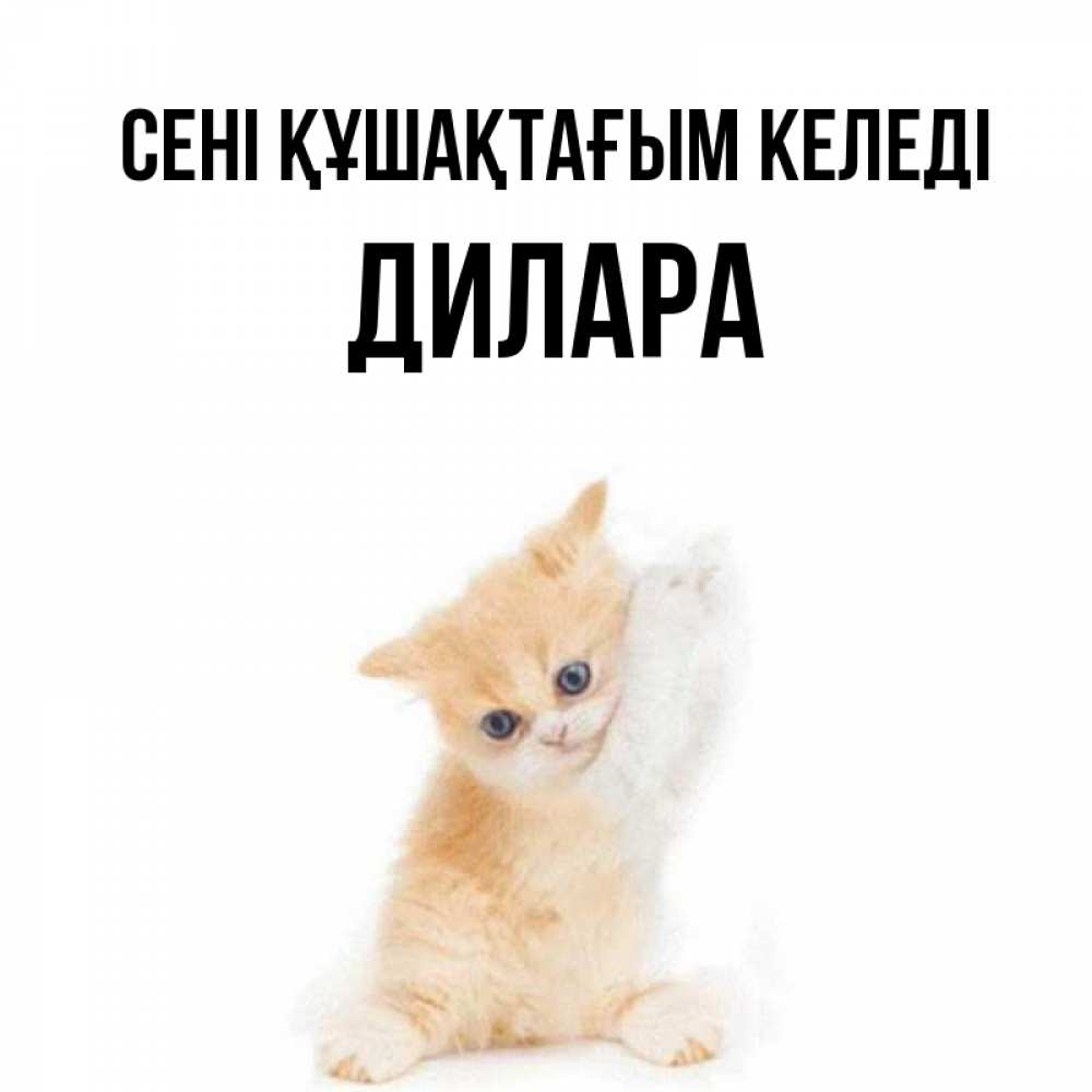 Күн сайын ашық хат с именем, Дилара сені құшақтағым келеді я хочу очень скорее обнимаешек Онлайн тегін жүктеп алу тілектері бар керемет карта 