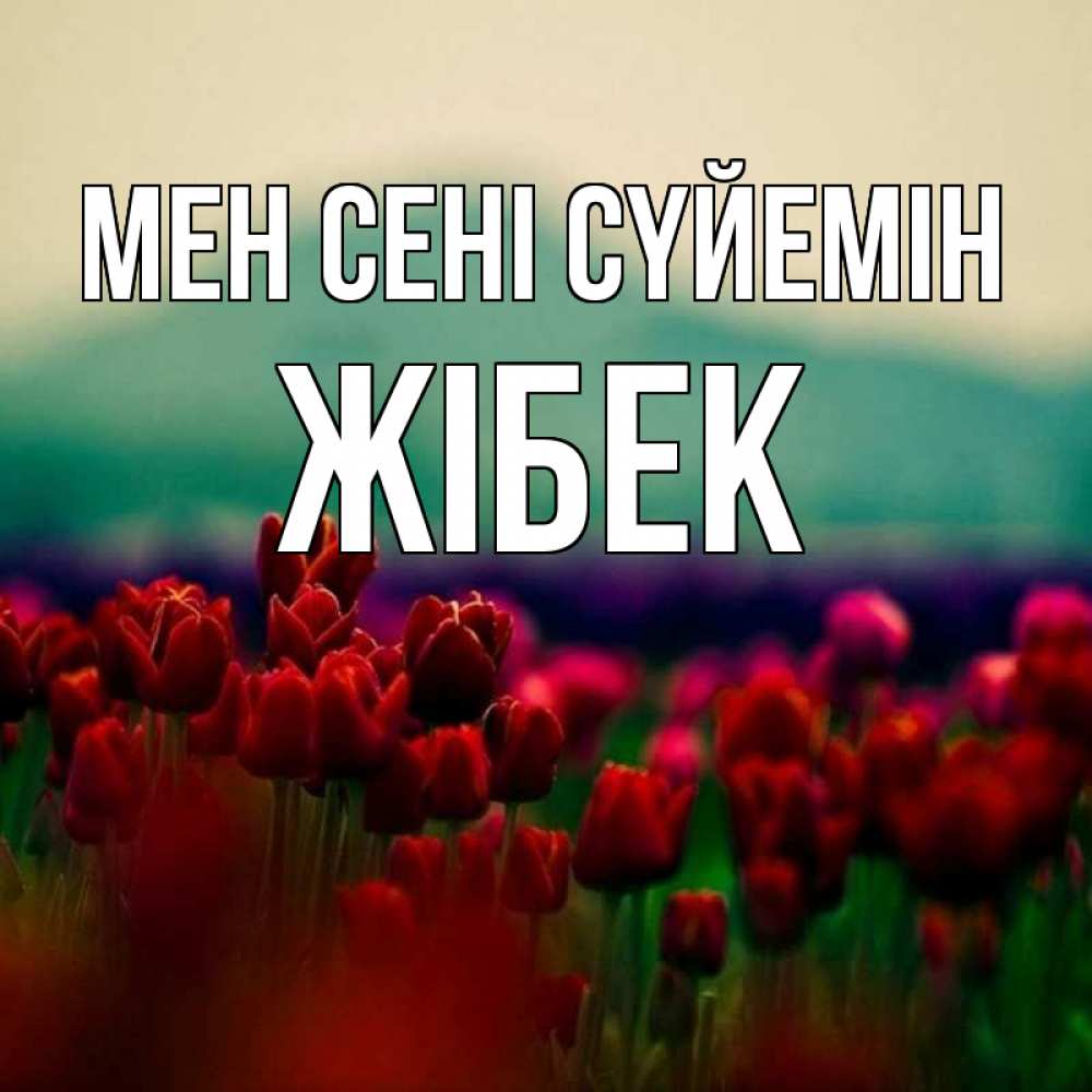 Күн сайын ашық хат с именем, ЖІБЕК Мен сені сүйемін тюльпаны 4 Онлайн тегін жүктеп алу тілектері бар керемет карта 