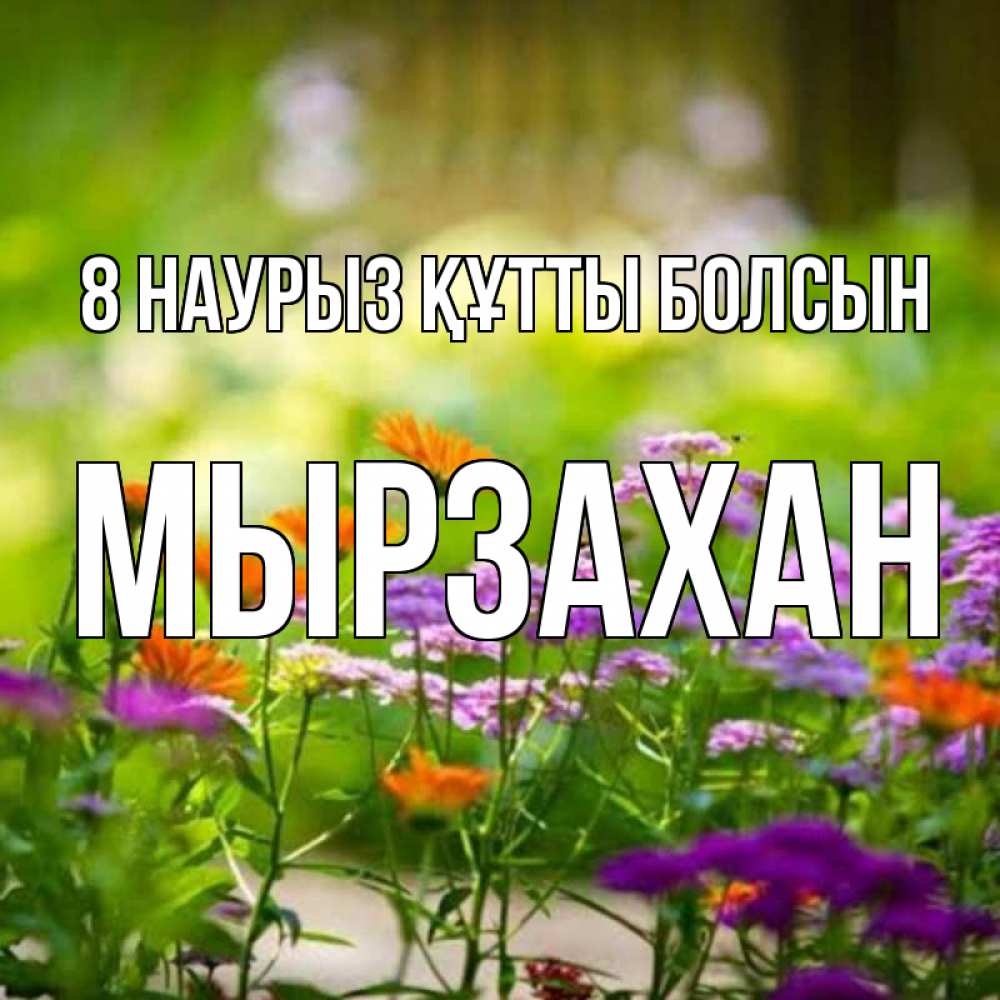 Күн сайын ашық хат с именем, Мырзахан 8 наурыз құтты болсын цветы Онлайн тегін жүктеп алу тілектері бар керемет карта 