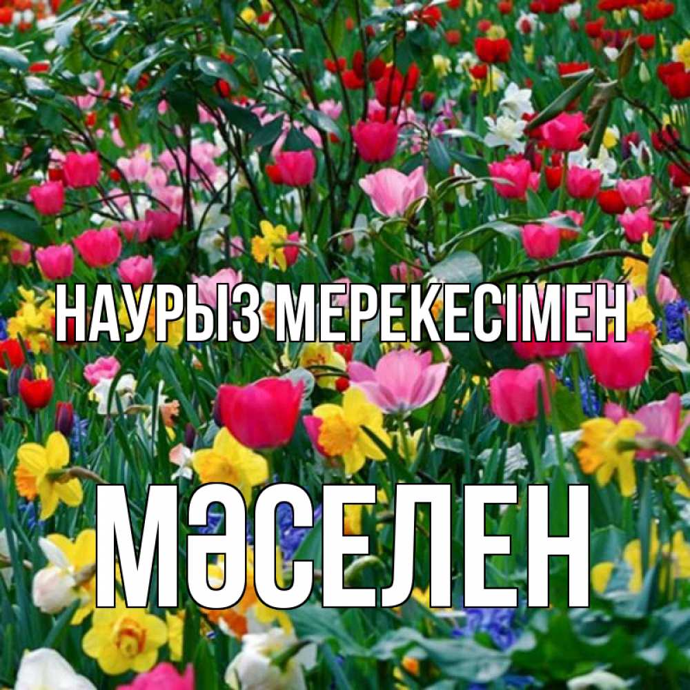 Күн сайын ашық хат с именем, Мәселен Наурыз мерекесімен с наурызом праздником весны поздравления для женщины Онлайн тегін жүктеп алу тілектері бар керемет карта 