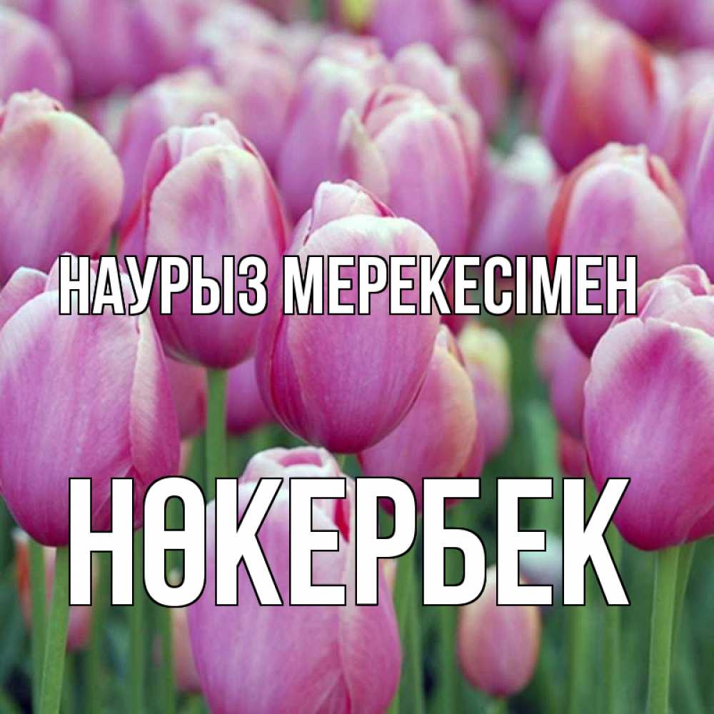 Күн сайын ашық хат с именем, НӨКЕРБЕК Наурыз мерекесімен праздник весны наурыз 69 Онлайн тегін жүктеп алу тілектері бар керемет карта 