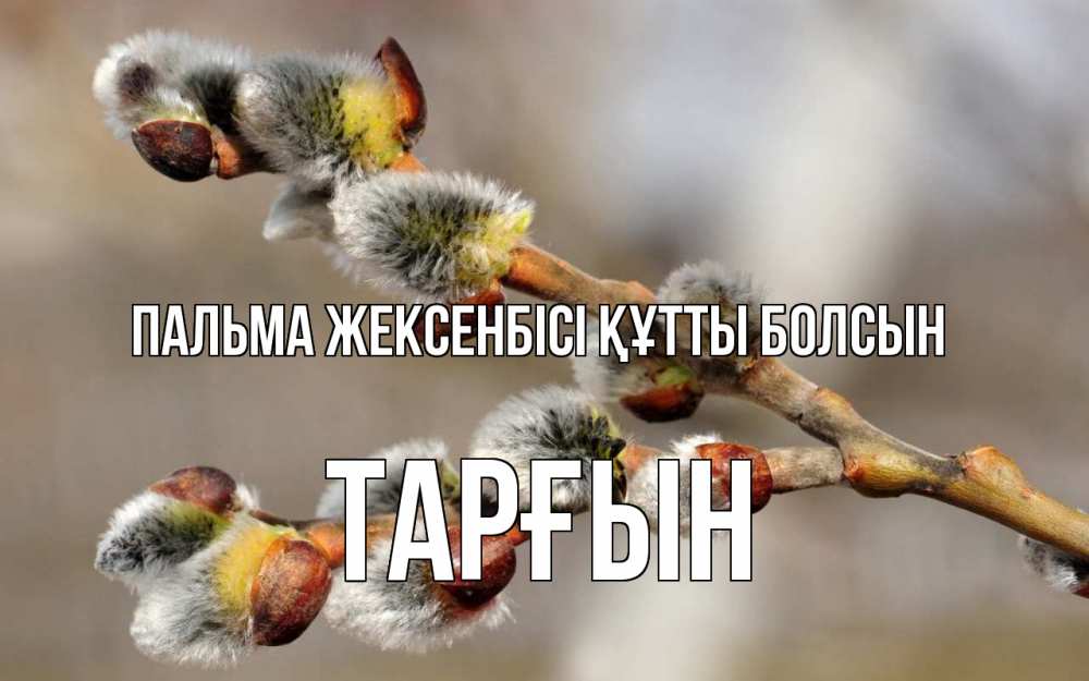 Күн сайын ашық хат с именем, ТАРҒЫН Пальма жексенбісі құтты болсын Верба Онлайн тегін жүктеп алу тілектері бар керемет карта 