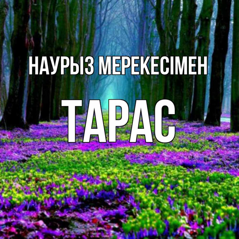 Күн сайын ашық хат с именем, Тарас Наурыз мерекесімен фиолетовые цветы в лесу 1 Онлайн тегін жүктеп алу тілектері бар керемет карта 
