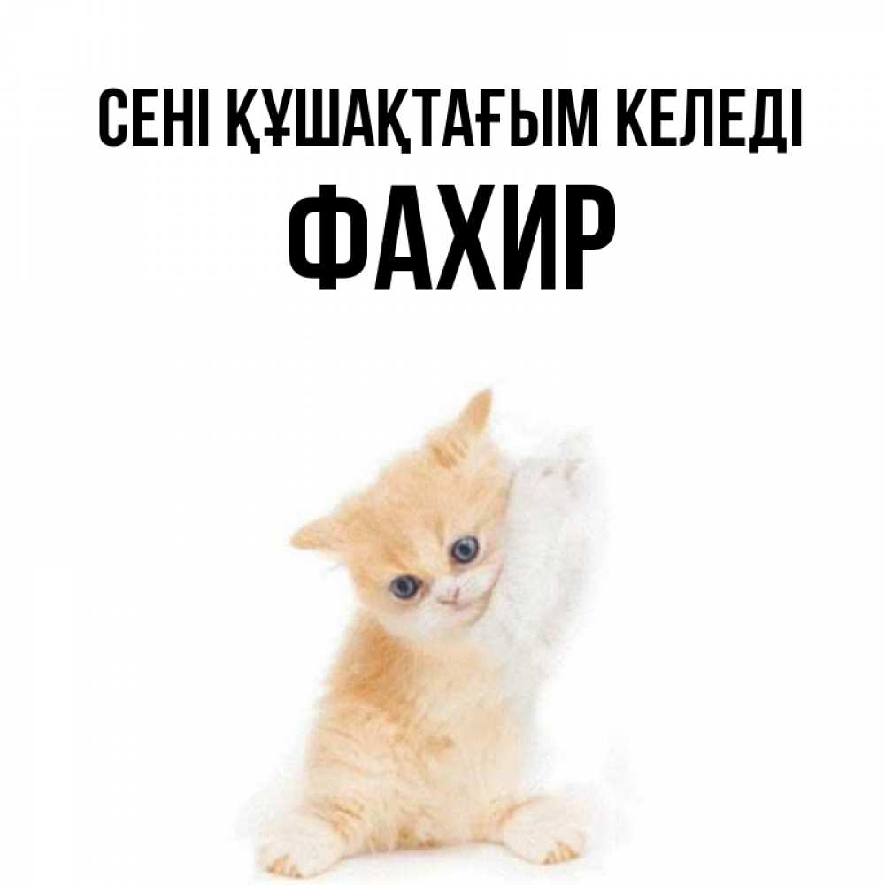 Күн сайын ашық хат с именем, ФАХИР сені құшақтағым келеді я хочу очень скорее обнимаешек Онлайн тегін жүктеп алу тілектері бар керемет карта 